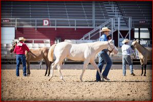 shez all money3.jpg